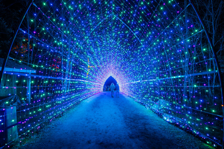 Coastal Maine Botanical Gardens: Gardens Aglow
