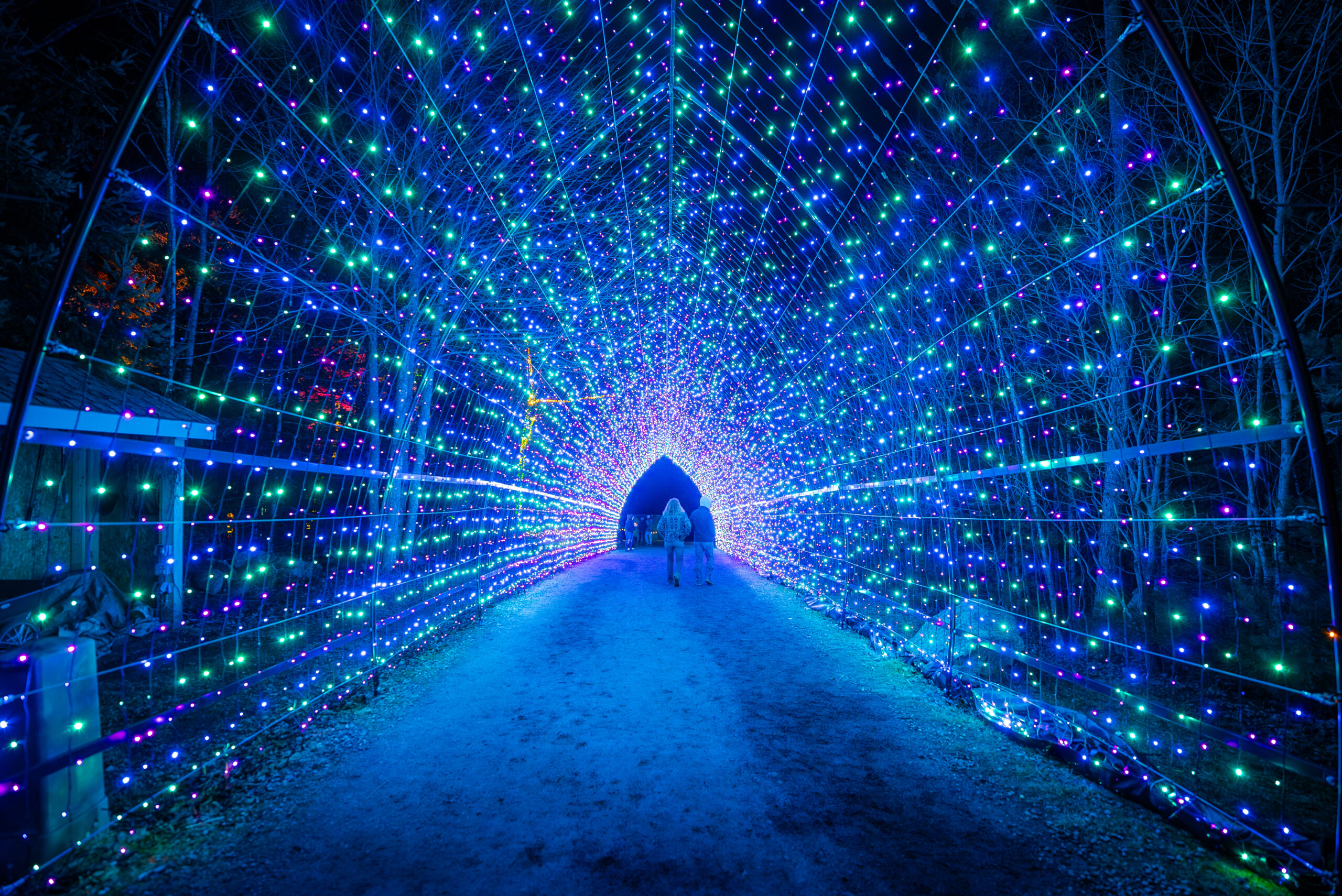 GardensAglow_122024-14