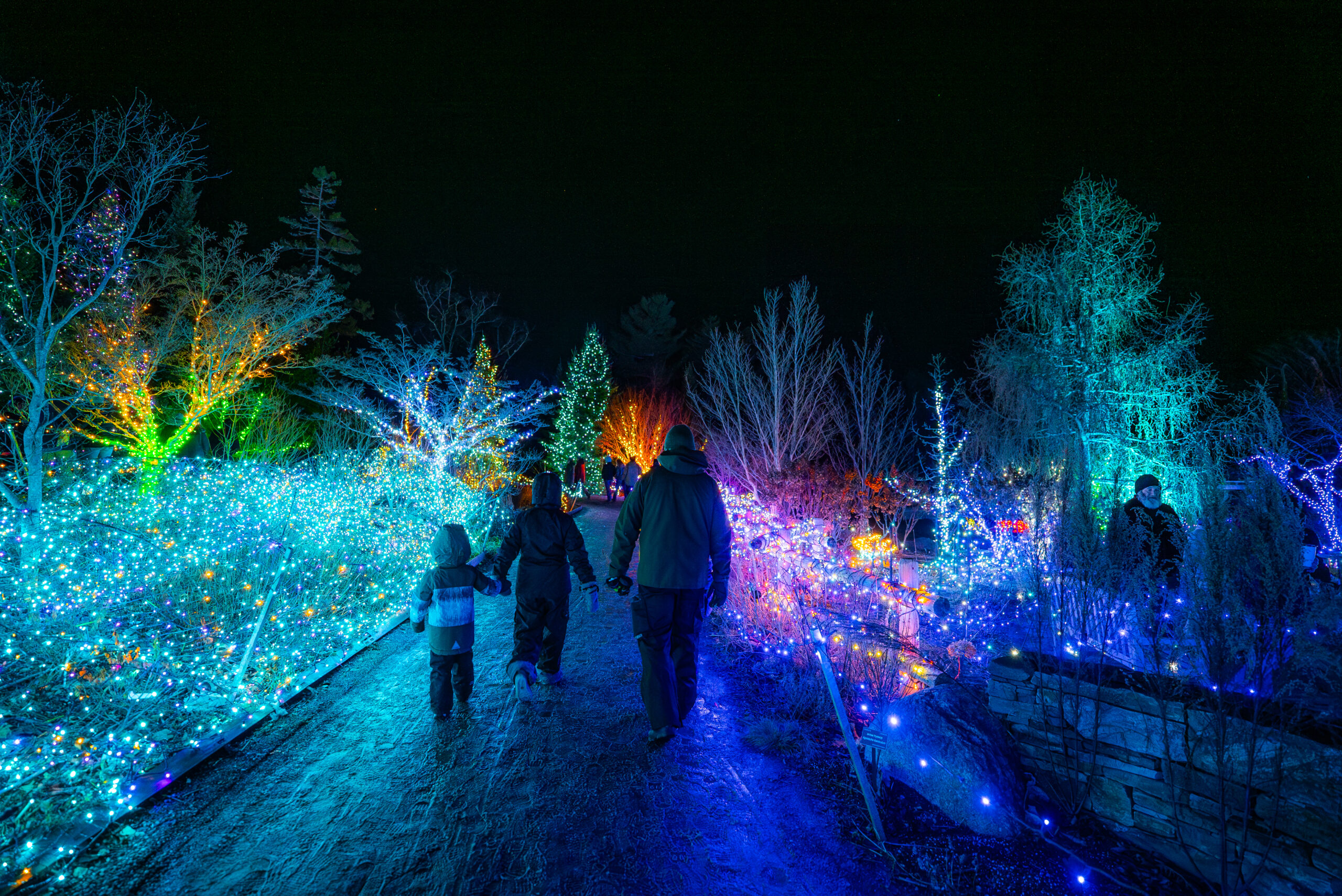 GardensAglow_122024-24