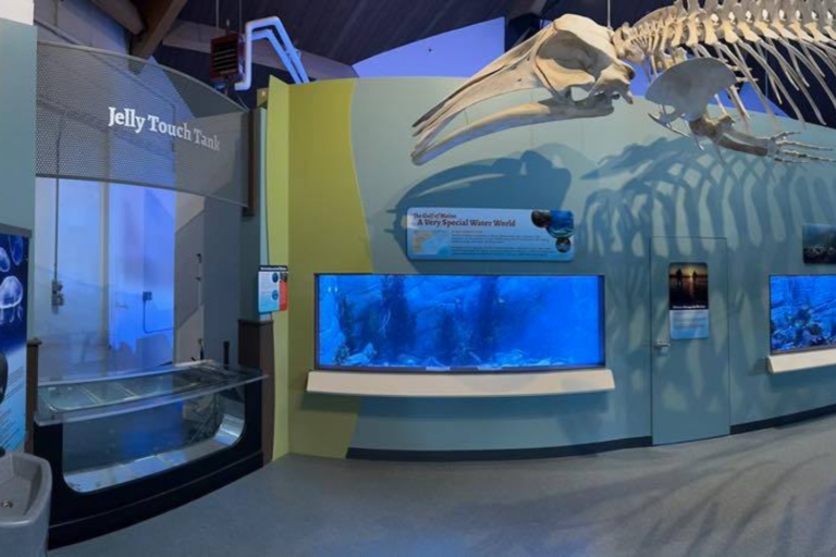 maine state aquarium on facebook