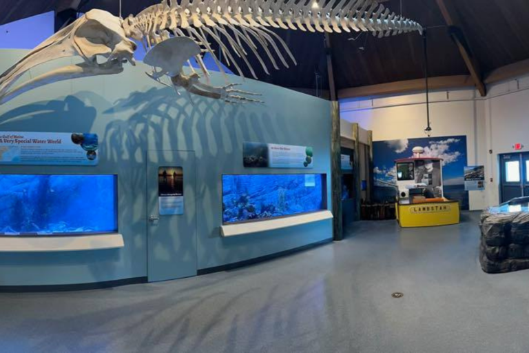 maine state aquarium on facebook