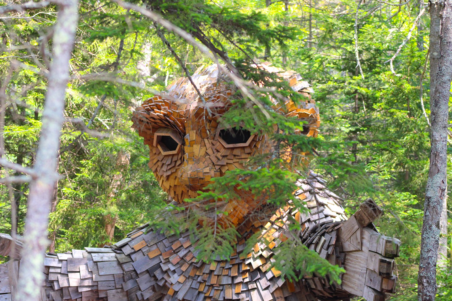 coastal maine botanical gardens