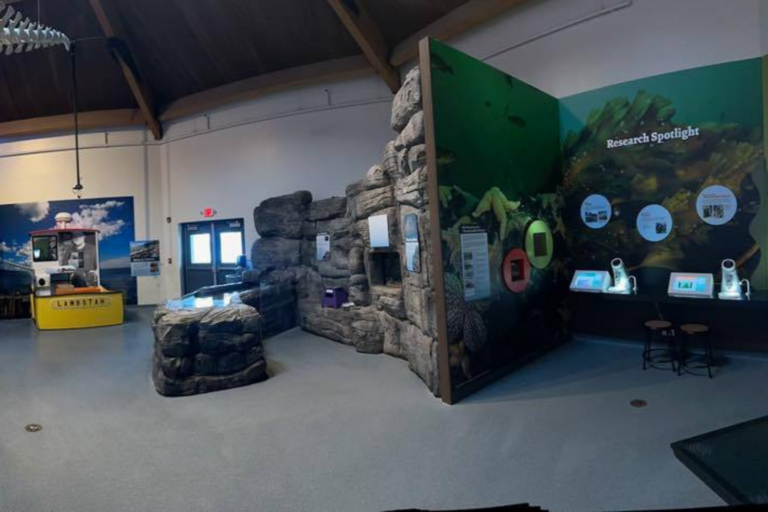 maine state aquarium on facebook