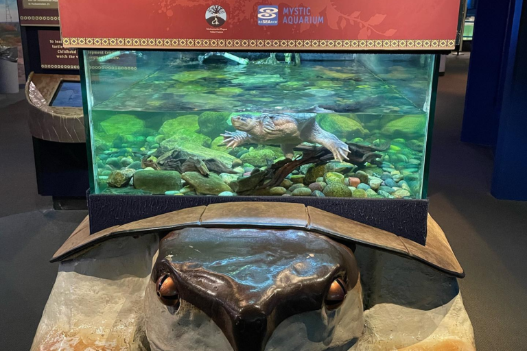 maine state aquarium on facebook