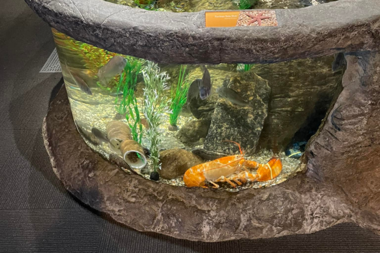 maine state aquarium on facebook